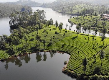 Majestic Ranikhet & Nainital